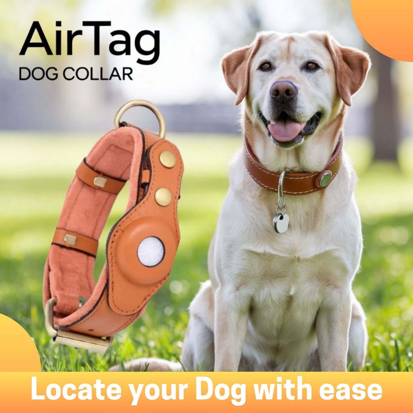 New Leather Airtag Dog Collar Pet Adjustable Collar